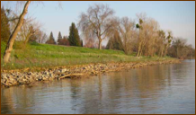 projWetlands-002